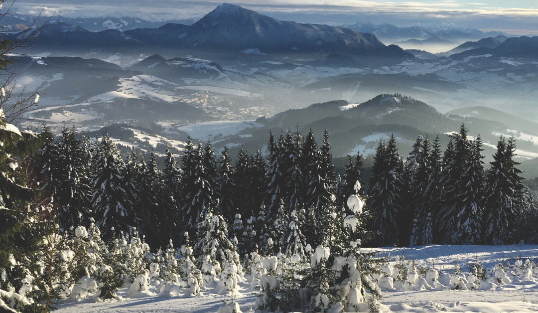 Vianočná atmosféra v historických hoteloch: Punče, sviatočné podujatia a pobyty plné tradícií.