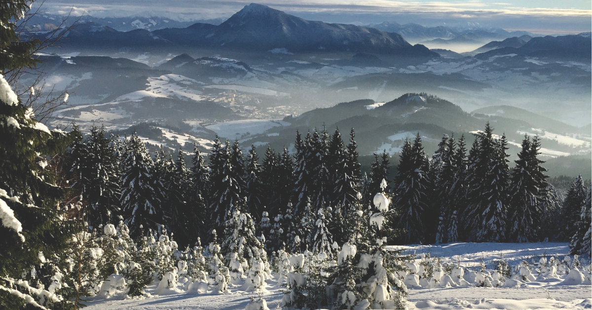 Vianočná atmosféra v historických hoteloch: Punče, sviatočné podujatia a pobyty plné tradícií.